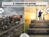 A sabedoria dos degraus: por que não colocar o carro na frente dos bois é a estratégia definitiva para uma carreira literária de sucesso